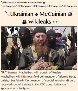 Link1. McCainian Wikileaks Insert