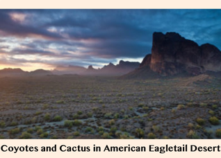 Pic 1. Coyotes and Cactus in American Eagletail Desert
