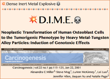 TITLE- D.I.M.E. Dense Inert Metal Explosive